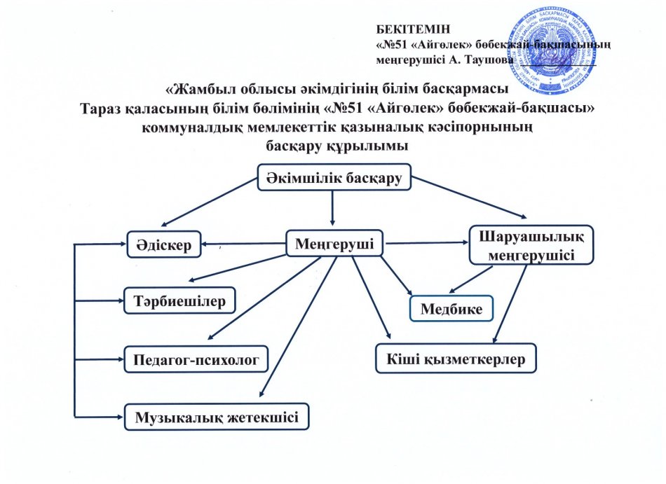 Құрылымы